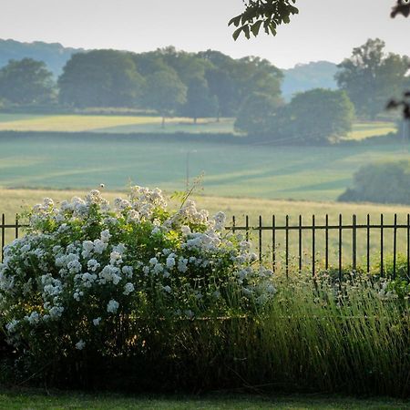 Le Manivert Bed and Breakfast Vitry-Lache Buitenkant foto