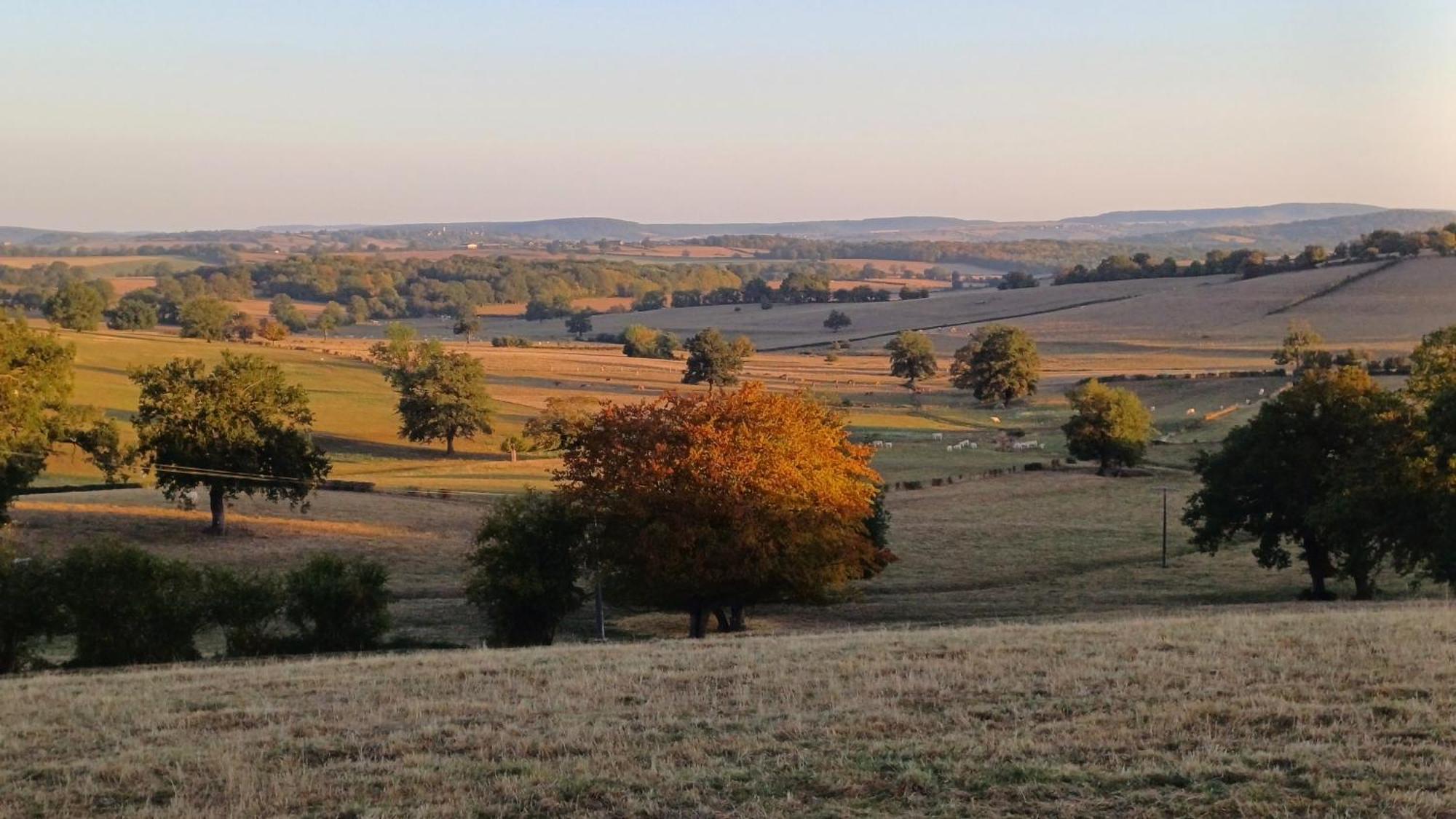 Le Manivert Bed and Breakfast Vitry-Lache Buitenkant foto