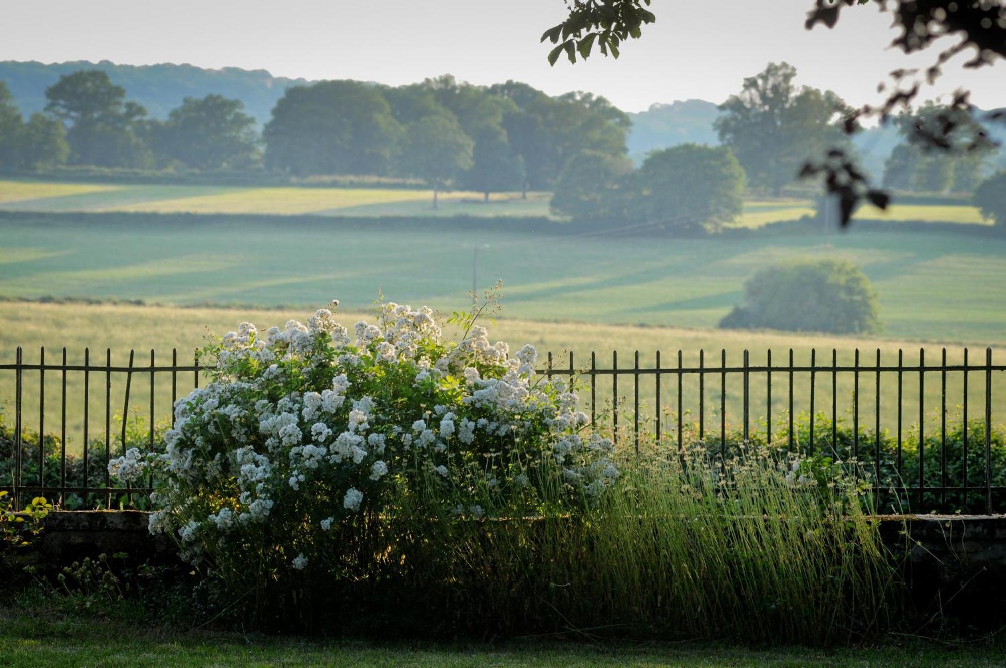 Le Manivert Bed and Breakfast Vitry-Lache Buitenkant foto