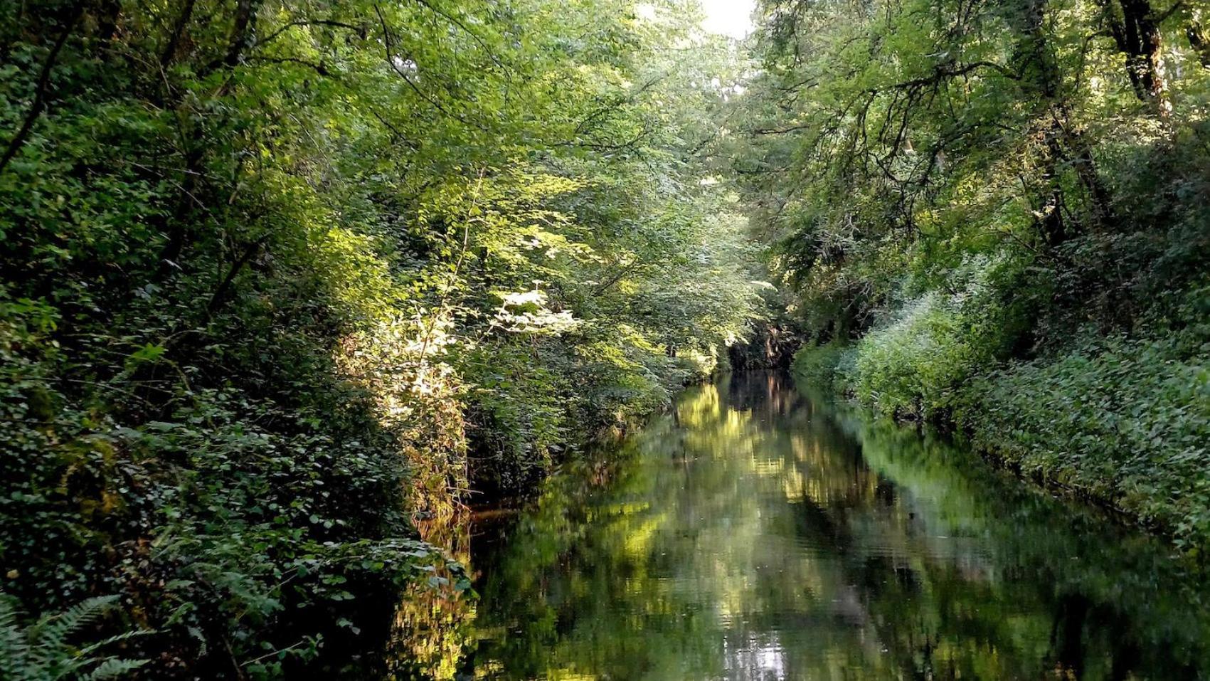 Le Manivert Vitry-Lache Buitenkant foto