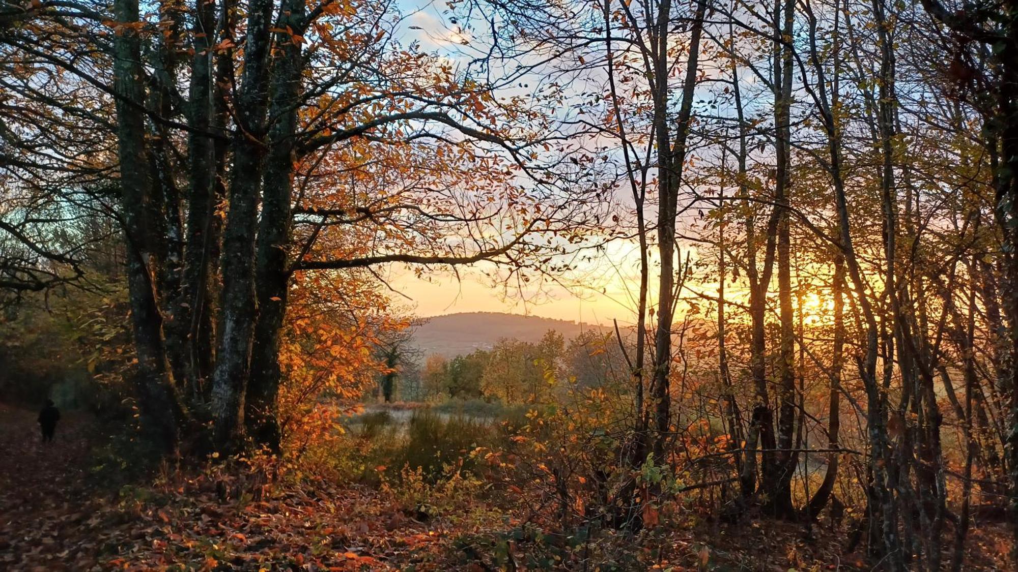 Le Manivert Vitry-Lache Buitenkant foto