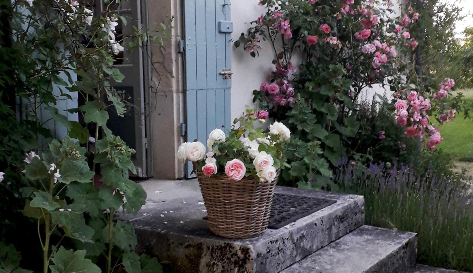 Le Manivert Vitry-Lache Buitenkant foto